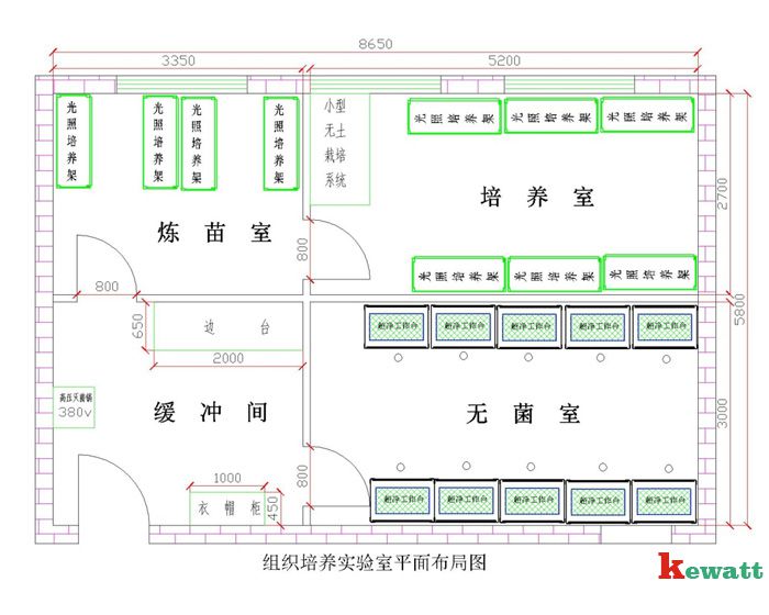 植物細(xì)胞實(shí)驗(yàn)室平面設(shè)計圖